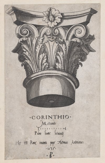 Speculum Romanae Magnificentiae: Korinthisches Kapitell, 1535 von Master PS