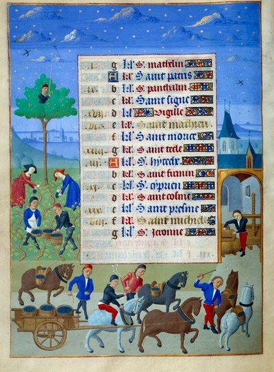 Weinlese und Transport. Seite aus dem illuminierten Manuskript 
