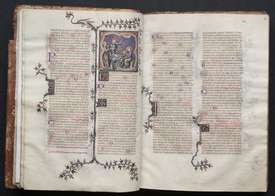 Das Gotha Missale: Fol. 17v, Die Anbetung der Heiligen Drei Könige von Master of the Boqueteaux