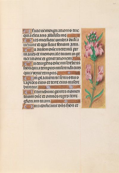Stundenbuch der Königin Isabella der Katholischen, Königin von Spanien: Fol. 207r, um 1500 von Master of the First Prayerbook of Maximillian