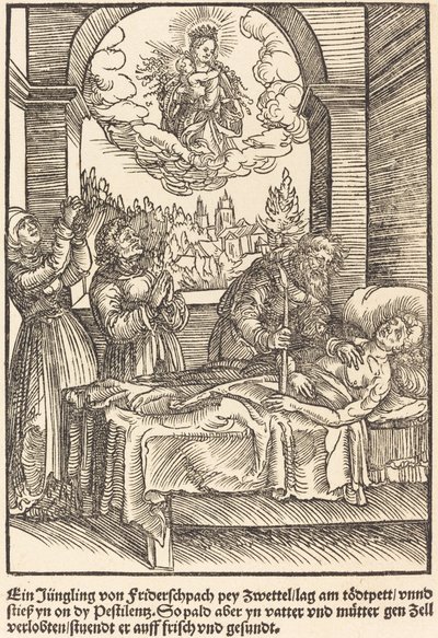 Ein Jüngling von Friderschpach von Master of the Miracles of Mariazell