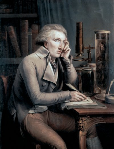 Porträt von Georges Leopold Cuvier von Mathieu Ignace van Bree