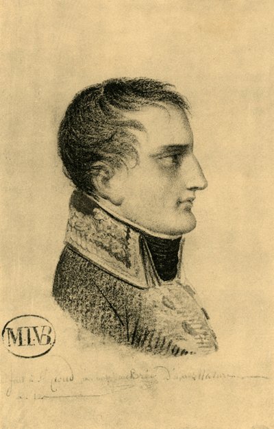 Napoleon als Erster Konsul von Mathieu Van Brée