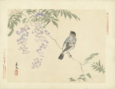 Vogel auf Wisteria-Zweig (Blumen- und Vogelskizzen von Keibun, Teil drei) von Matsumura Keibun