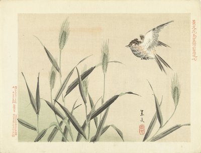 Vogel fliegend bei Gräsern von Matsumura Keibun