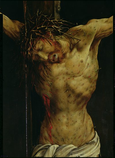 Die Kreuzigung aus dem Isenheimer Altar, Detail des Torsos Christi, ca. 1512-16 (Detail) von Matthias Grünewald