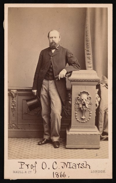 Porträt von Othniel Charles Marsh 1831-1879, 1866 von Maull and Co