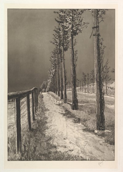 Die Chaussee, aus der Serie Vier Landschaften von Max Klinger