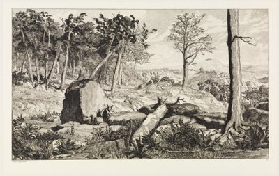Simplicius in der Wald-Einöde (Intermezzi, Opus IV, Blatt 10) von Max Klinger