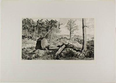 Simplicius in der Einsamkeit des Waldes, Tafel zehn aus Intermezzos von Max Klinger