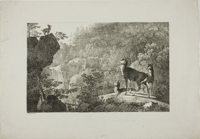 Der Hirsch und die Gämse von Maximilian Josef Wagenbauer