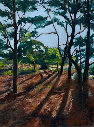 Waldweg mit langen Schatten von Maxine Shore