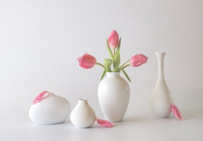 Rosa Tulpen in Vasen von May G