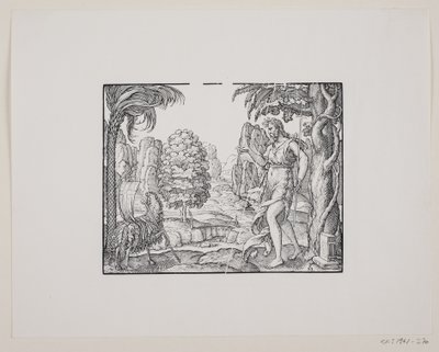 Johannes der Täufer in der Wüste von Melchior Lorck