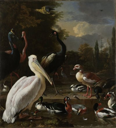 Ein Pelikan und andere Vögel in der Nähe eines Teichs, bekannt als 