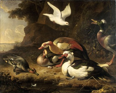 Enten von Melchior de Hondecoeter