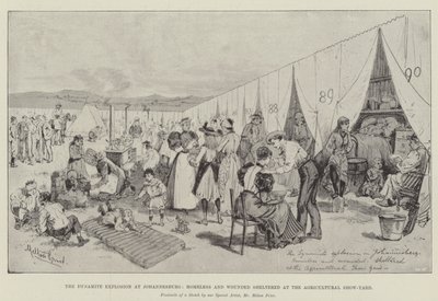 Die Dynamitexplosion in Johannesburg, Obdachlose und Verwundete im Landwirtschaftsausstellungsgelände von Melton Prior