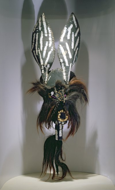 Kostümmaske der Zapoteken aus der Region Oaxaca in Mexiko von Mexican School