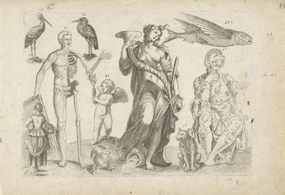 Studienblatt mit Zeichenbeispielen: Tiere und verschiedene Figuren von Michael Snijders
