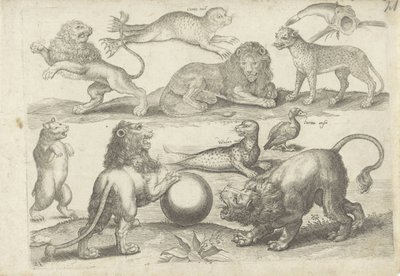 Studienblatt mit Zeichenbeispielen: verschiedene Tiere von Michael Snijders