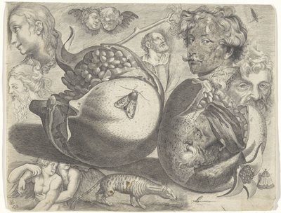 Studienblatt mit Zeichenbeispielen: Köpfe, Figuren, Früchte, Tiere von Michael Snijders