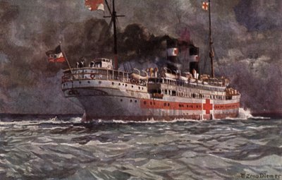 Deutsches Hospitalschiff, Erster Weltkrieg von Michael Zeno Diemer