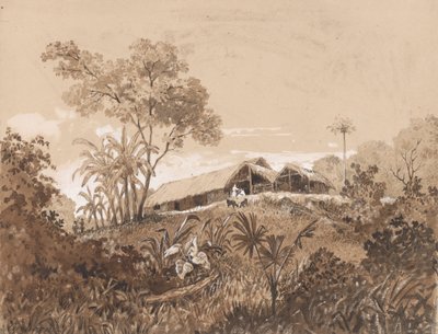 Das Häuschen, Mount Tamana von Michel Jean Cazabon
