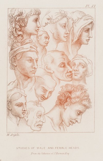 Studien von männlichen und weiblichen Köpfen von Michelangelo (after) Buonarroti