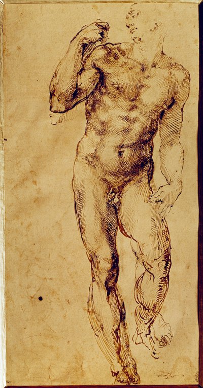 Studie eines stehenden nackten Mannes von Michelangelo Buonarroti