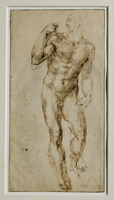 Männlicher Akt, Frontalansicht, um 1502-1506 von Michelangelo Buonarroti