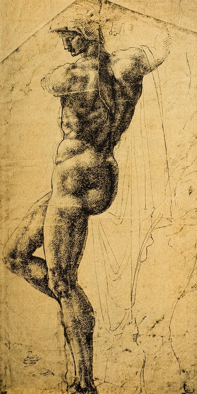 Aktstudie; Zeichnung von Michelangelo. Musée du Louvre, Paris von Michelangelo Buonarroti