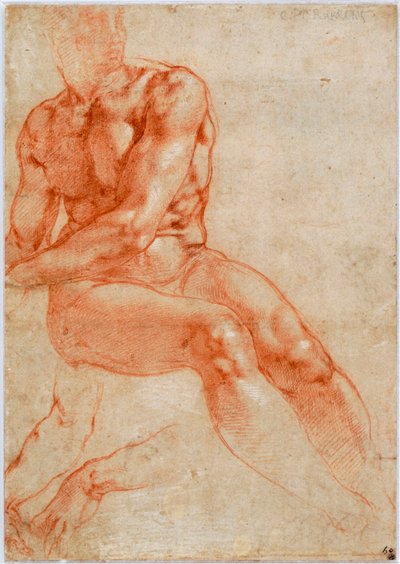 Sitzender junger männlicher Akt und zwei Armstudien, ca. 1510-1511 von Michelangelo Buonarroti