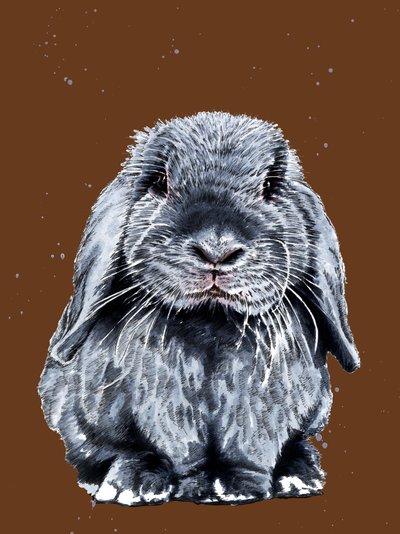 Der Graue Hase auf Verbranntem Orange von Mike Davis