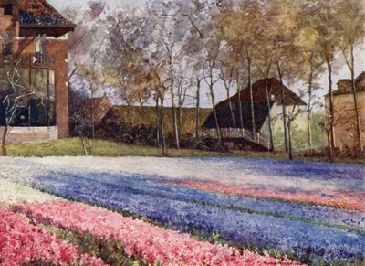 Ein niederländischer Garten im Frühling von Mima Nixon