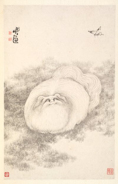 Katze und Schmetterling, 1788 von Min Zhen