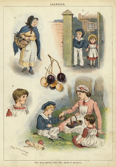 Kirschen von Miss Eliza F. Manning