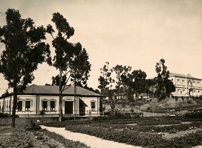 Kreis von Beamten in Asmara, 09/05/1936 von Modestino Baldinetti