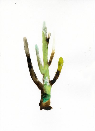 König Cardon, 2021 von Monica Perez Vega