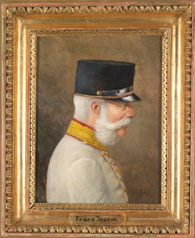 Porträt von Franz Joseph I. von Österreich von Moritz Ledeli