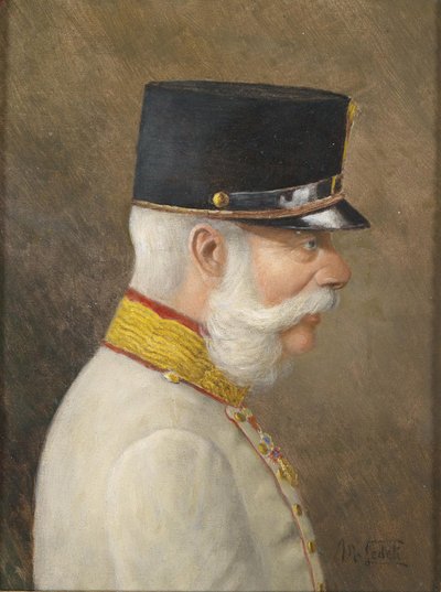 Porträt von Franz Joseph I. von Österreich von Moritz Ledeli