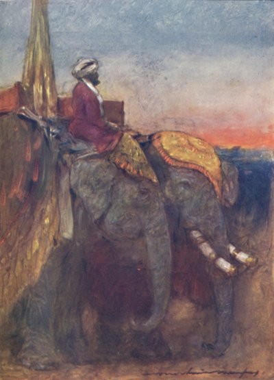 Jaipur-Elefanten von Mortimer L Menpes