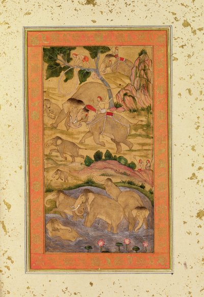 Jäger fangen Elefanten, aus dem Großen Clive-Album, ca. 1760-65 von Mughal School