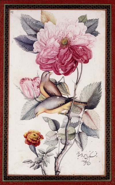 Gul-o Bulbul, ca. 1849-50 von Muhammad Baqir