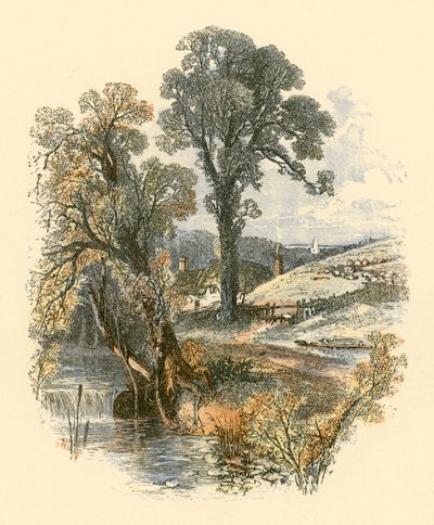 Schönheiten der Natur von Myles Birket Foster