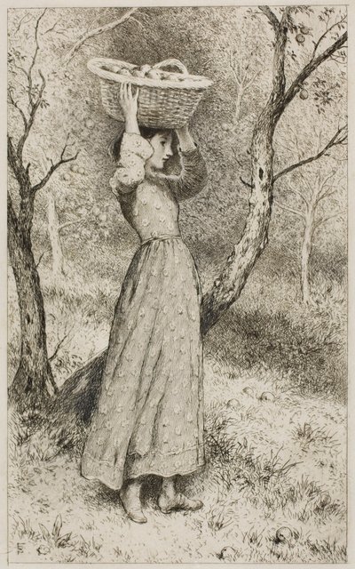 Junges Mädchen in einem Obstgarten mit einem Korb voller Früchte von Myles Birket Foster