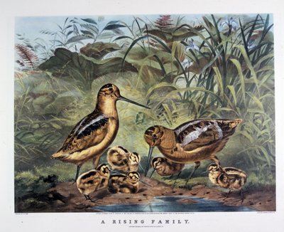 Eine Familie erhebt sich. Von Arthur Tait. 1857 von N. and Ives J.M. (1824 95) Currier