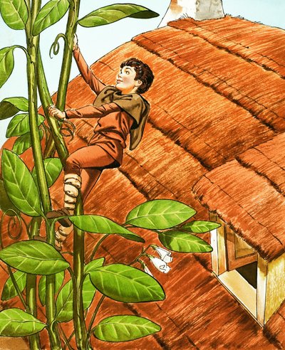 Hans und die Bohnenranke von Nadir Quinto