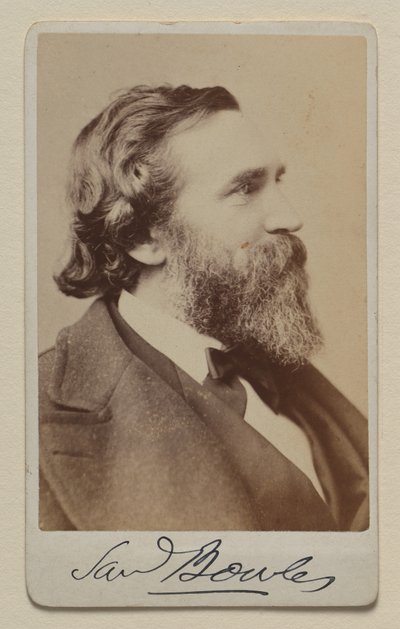Samuel Bowles II von Napoleon Sarony