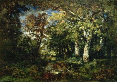 Der Wald von Fontainebleau von Narcisse Virgile Diaz de la Peña