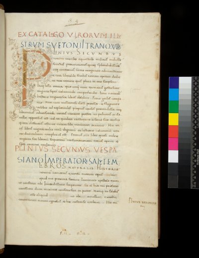 Ms 394.1. Plinius der Ältere, Naturalis Historia, f.1r. Illuminierte Initiale [P] mit weißem Rankenstammdekor (unvollendet), Neapel, Mitte des 15. Jahrhunderts, ca. 1442 (Pergament) von Neapolitan School
